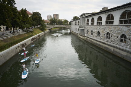 A group of 5 paddle surfing the Ljubljanica
