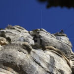 Descent in the mountain next to Tavertet