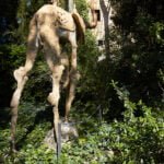 Salvador Dalí elephant esculpture rear view