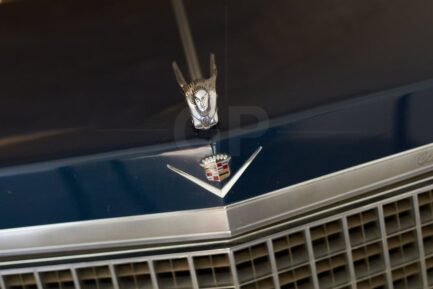 Cadillac front emblem of Dali's car