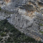 A group of kayaks sailing the Noguera