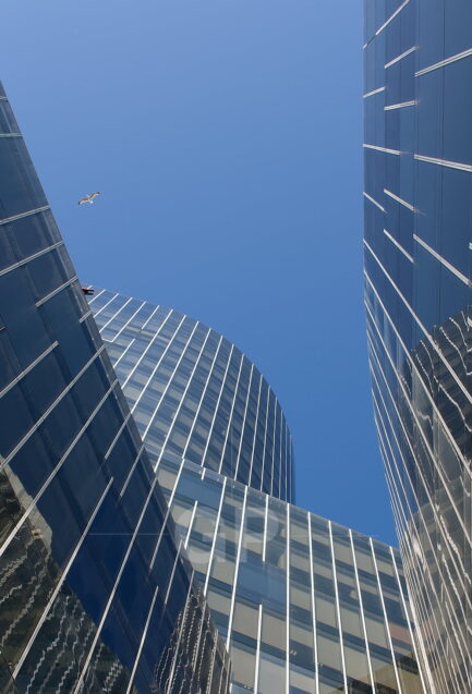 A seagull flying over the gas tower Mare Nostrum Tower