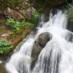 Les fonts del Llobregat photograph