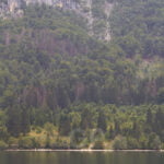 A girl swimming inside lake Bohinj
