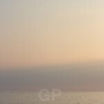 Fishing on El Prat de Llobregat very close to the airport