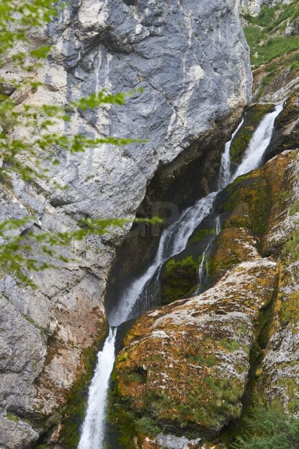 Savica waterfall vertical view photo