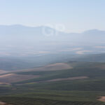 Abstract fine art print number 5034