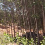 Abstract fine art print number 5057