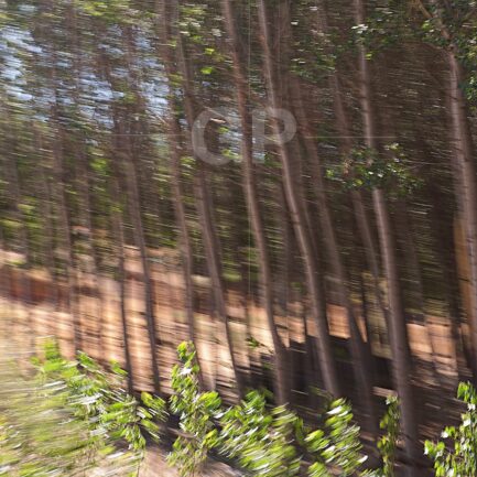 Abstract fine art print number 5057