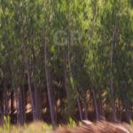 Abstract fine art print number 5065