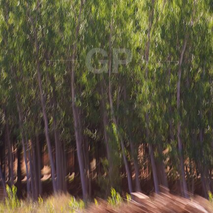 Abstract fine art print number 5065