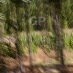 Abstract fine art print number 5070