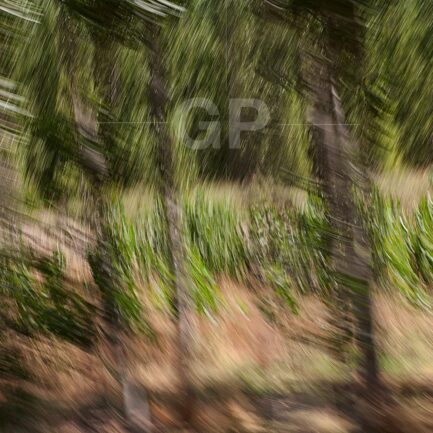 Abstract fine art print number 5070