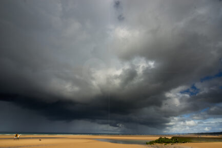 Omaha Beach extreme weather license